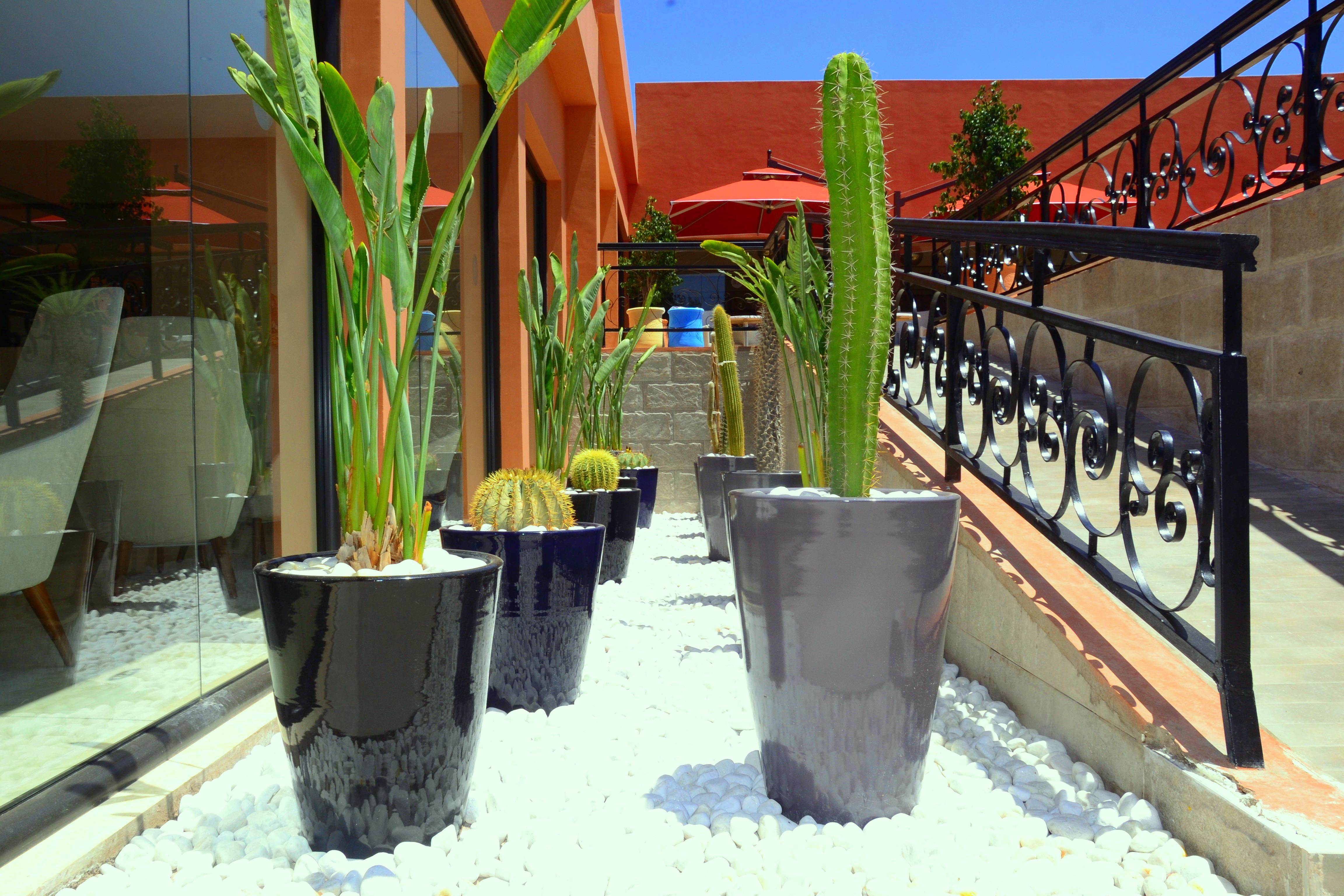 Hotel Tui Blue Medina Gardens (adults Only)